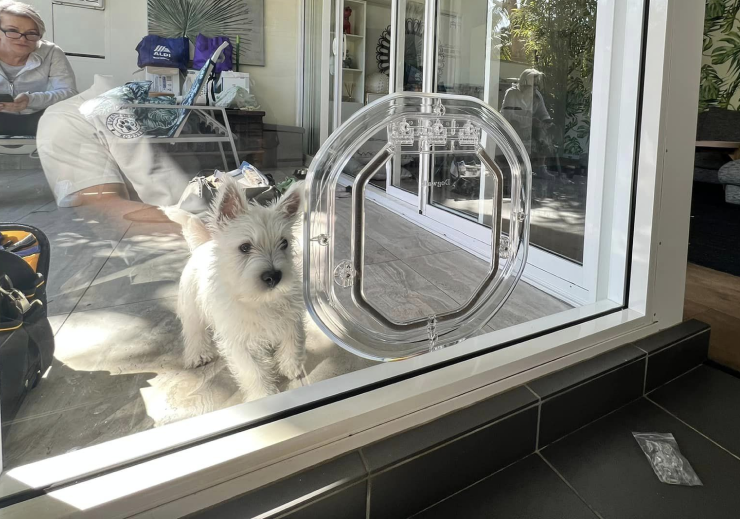 Sydney Pet Doors - Pet door installation and training for dog doors