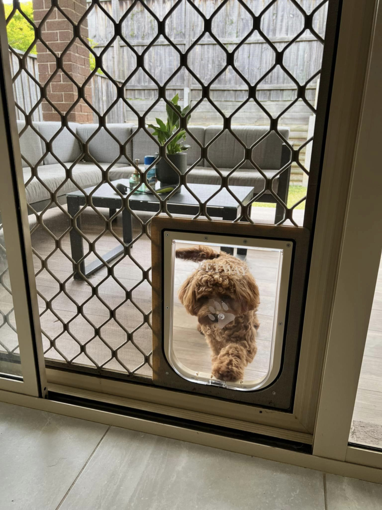Screen Dog Door - Dog Door Installation