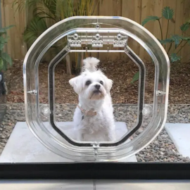 white dog standing at a glass dog door