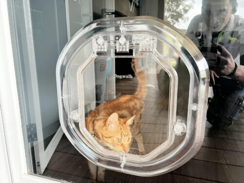 Glass Cat Doors -