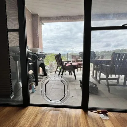 Medium Dog Doors for Glass -