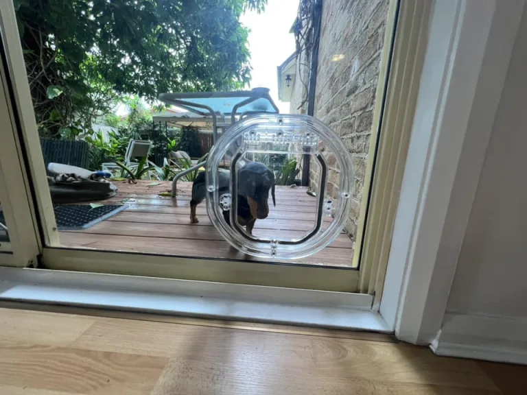 Small Dog Door for Glass - Dog Door Installation
