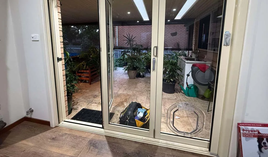 Pet Door Help with Separation Anxiety