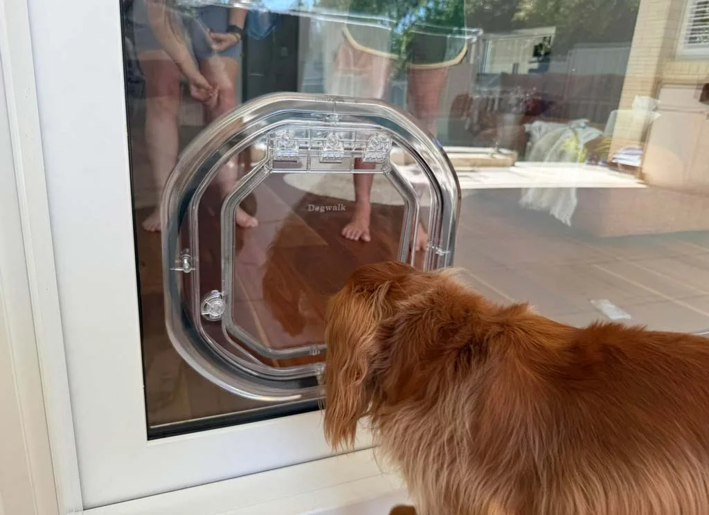 More independence for dogs - Dog doors Sydney