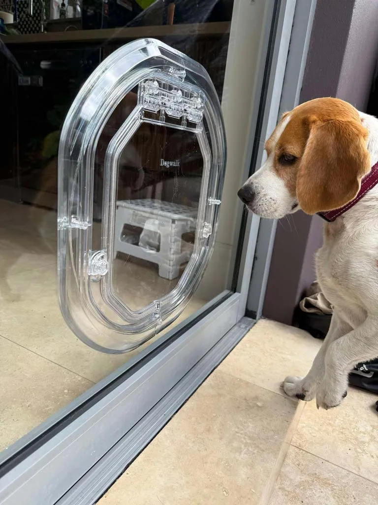 dog doors for glass doors