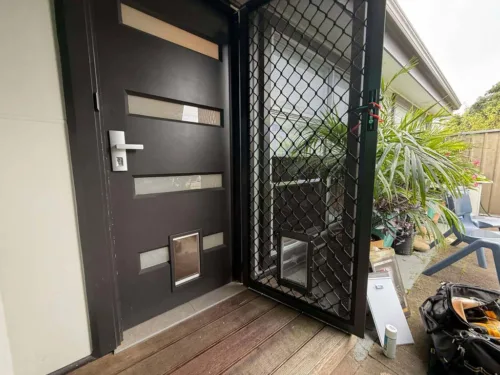 Dog Door In Glass -