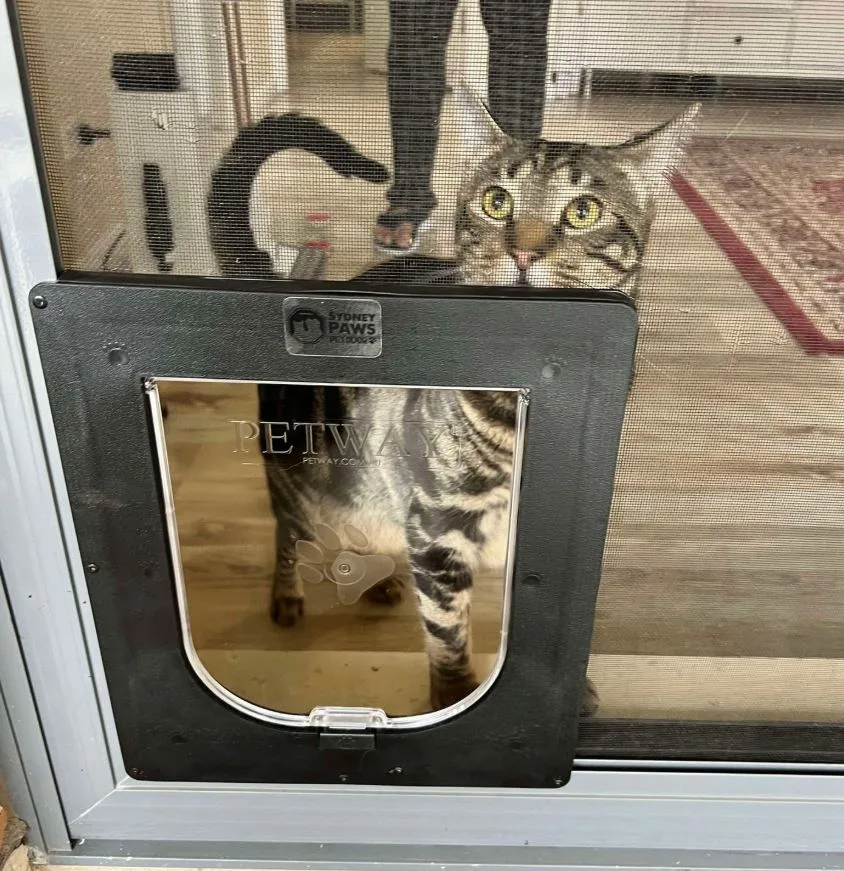 Cat doors in screen doors new2