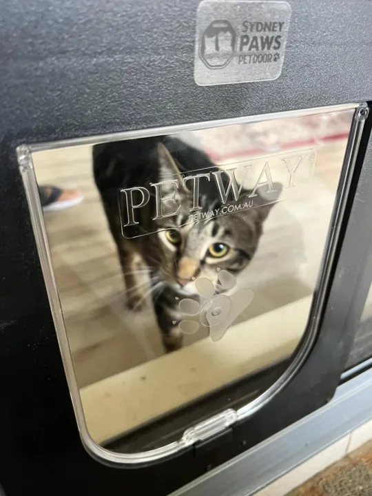 Cat Doors & Installation Sydney