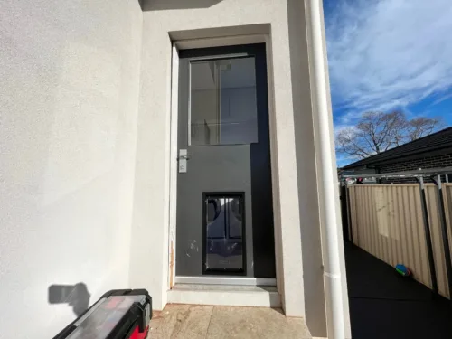 A pet door at the base of a black door with a glass panel above, on a modern rendered home