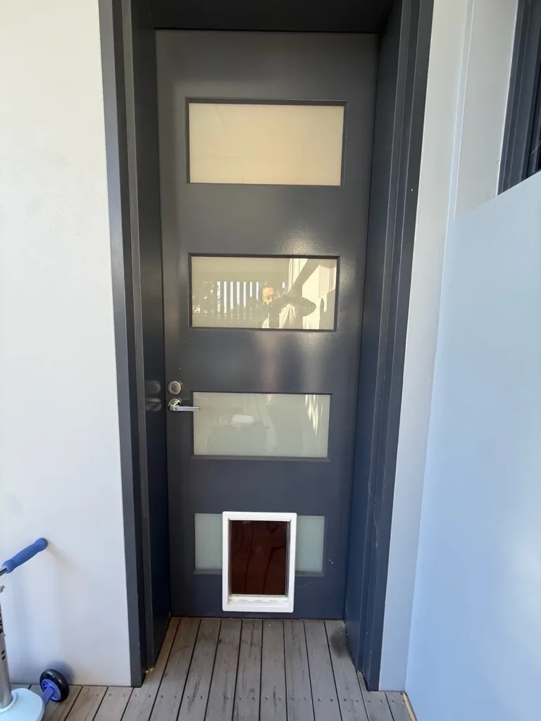 A white pet door at the base of a dark grey door with frosted glass panels