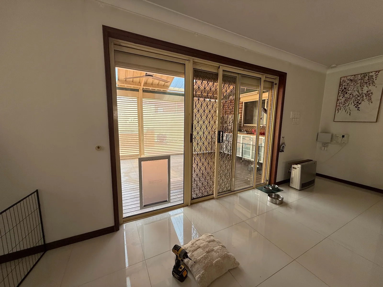Sliding Door Dog Door: an Insert, or a Door in the Glass? -