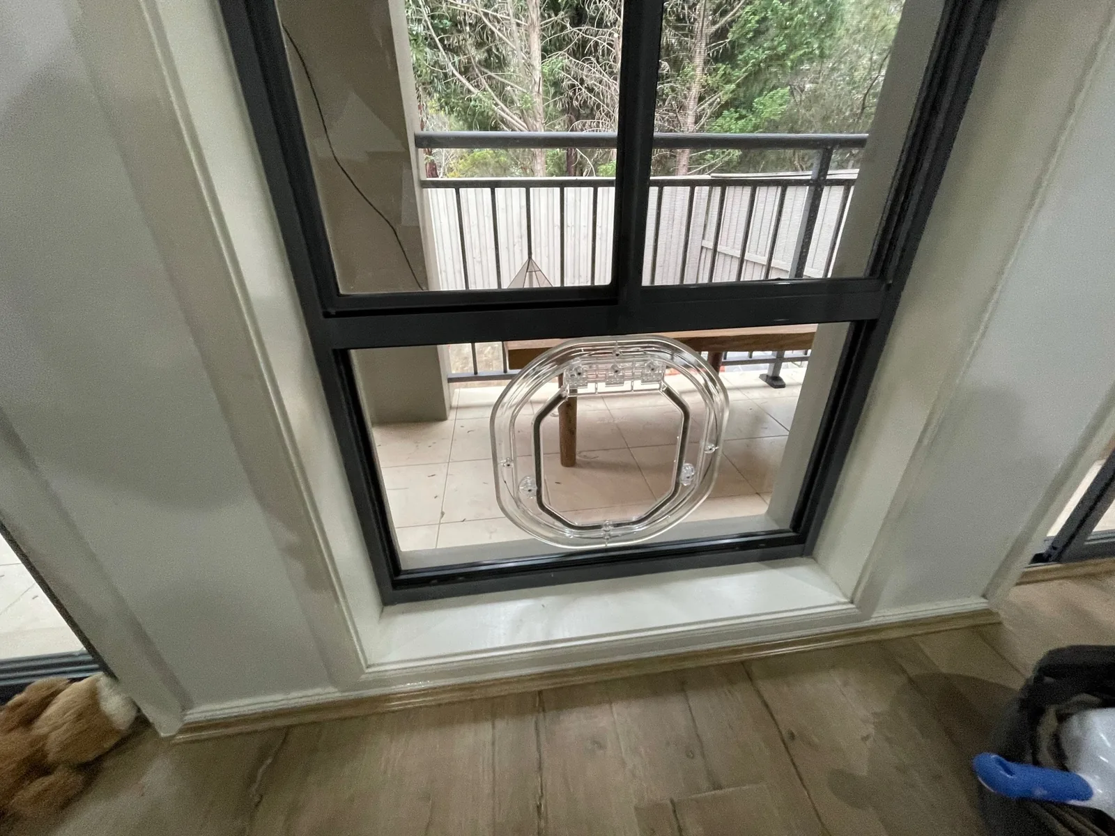 Can You Put a Dog Door in Double Glazed Glass? -