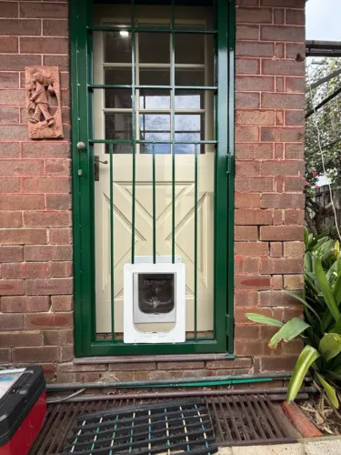 A white pet door in the lower panel of a green steel security door on a red-brick home