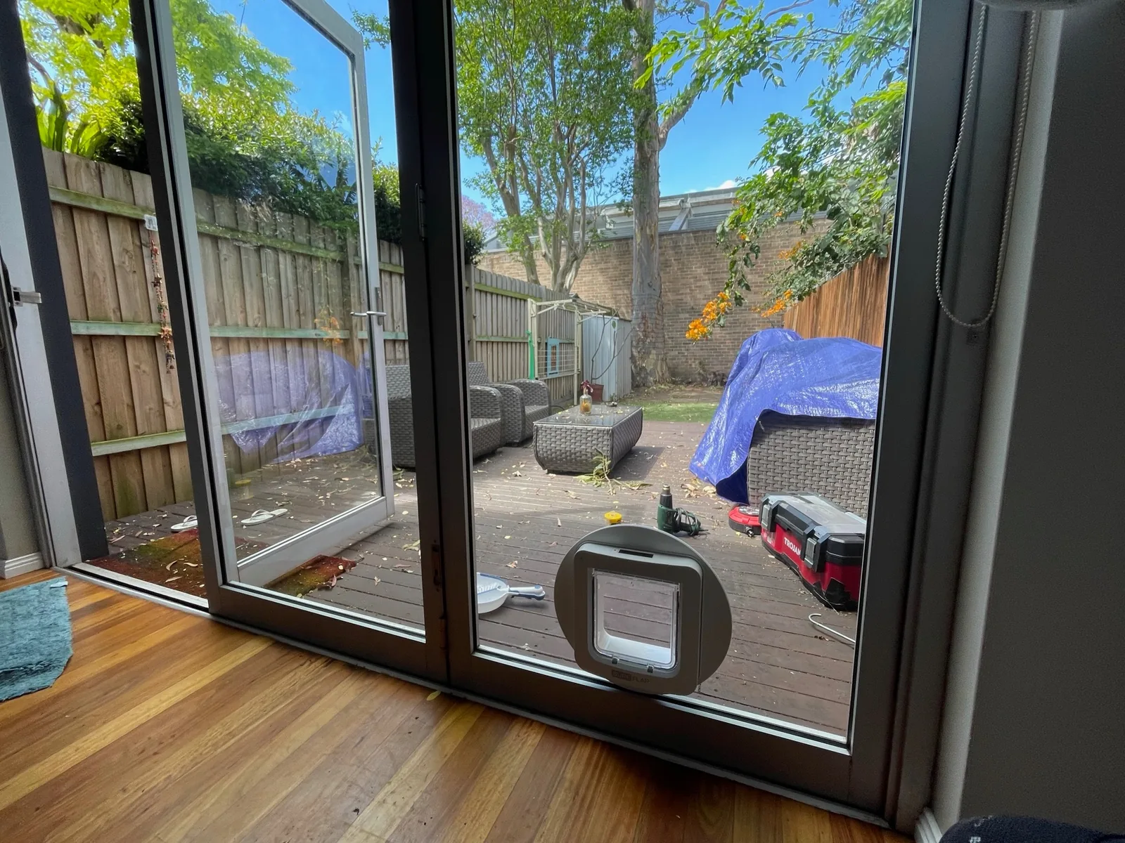 Microchip Pet Doors Explained: How They Work and Who They Suit -